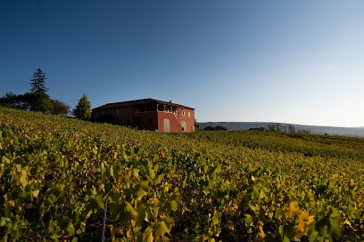 Les Vignes De Jeanne / Les Arbillons Vignoble, Vignoble à Sologny