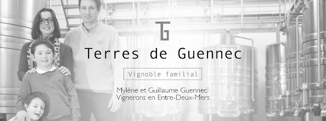 Terres De Guennec, Vignoble à Auriolles