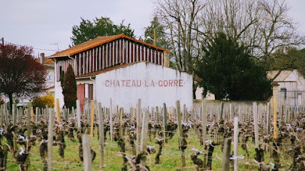 SCEA du Château la Gorre, Vignoble à Bégadan