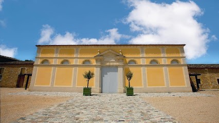 Vieux Château Gaubert - Vignobles Haverlan, Vignoble à Portets
