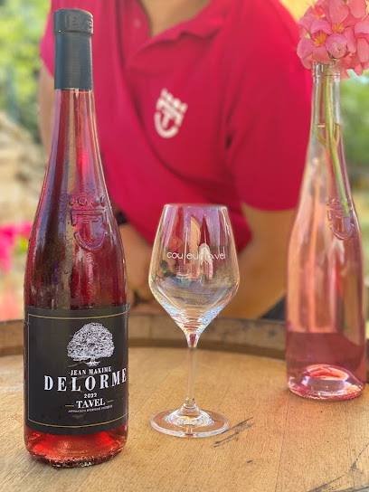 Domaine Val De L'orme Vignoble à Tavel