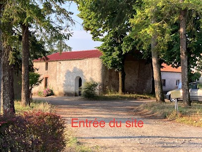 Champteloup La Forchetière, Vignoble à Corcoué-sur-Logne
