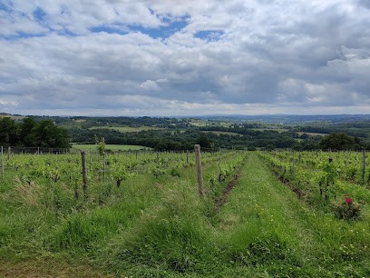 Domaine Des Gabies, Vignoble à Verneuil-sur-Vienne