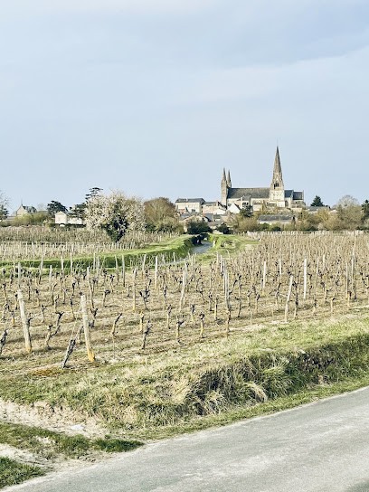 Domaine de la Salpetrière, Vignoble au Puy-Notre-Dame