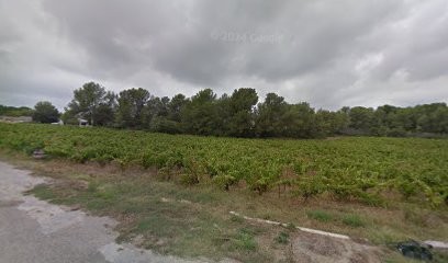 Sabatier Christophe Nicolas, Vignoble à Assas