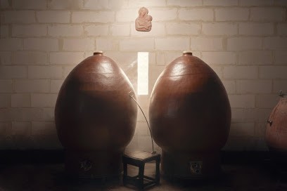 CHATEAU DE PIOTE, Vignoble à Val de Virvée