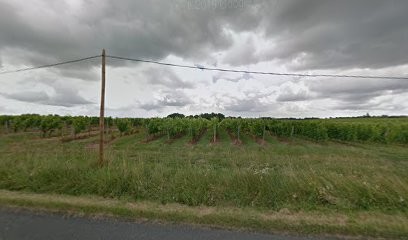 EARL Arnaud Didier, Vignoble à Monprimblanc