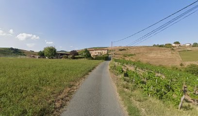 Gfa Les Enfants De C Daronnat, Vignoble à Sainte-Paule