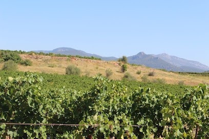Mas De Clanny, Vignoble à Saint-Félix-de-Lodez