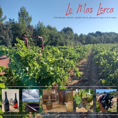 Le Mas Lorca, Vignoble à Villeveyrac