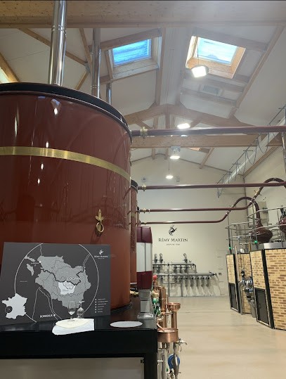 Domaines Rémy Martin SA, Vignoble à Juillac-le-Coq