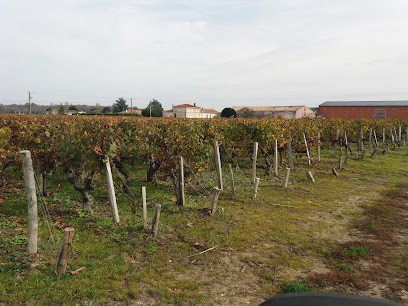 Vignobles Figerou, Vignoble à Bégadan