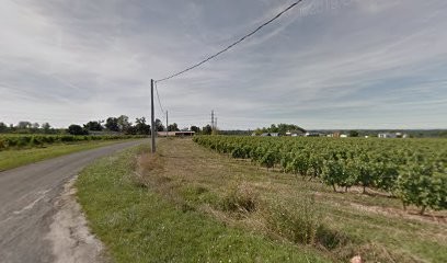 Les Vignobles De Lamothe SCEA, Vignoble à Saint-Ciers-d'Abzac