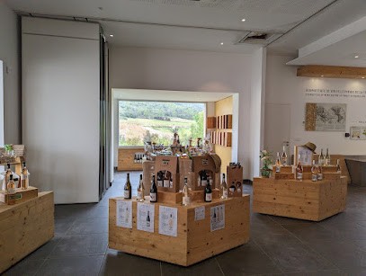 FONJOYA - Cave De Saint-Saturnin, Vignoble à Saint-Saturnin-de-Lucian