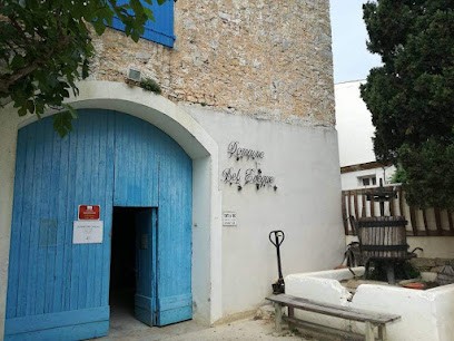 Pierre Richard SCEA, Vignoble à Gruissan