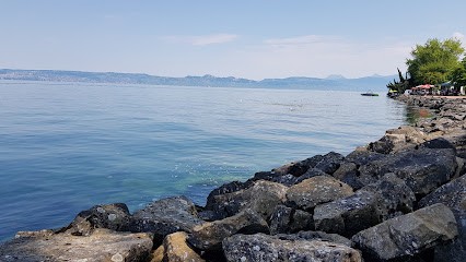 France Boissons Pays de Savoie, Vignoble à Évian-les-Bains