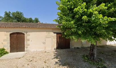 Château D'Aiguevive, Vignoble à Saint-Girons-d'Aiguevives