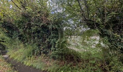 Bourchet Gilbert, Vignoble à Travaillan