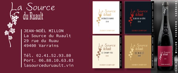 La Source Du Ruault Jean-Noël Millon, Vignoble à Varrains