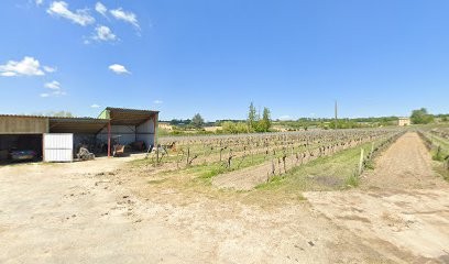 Thibeau Daniel, Vignoble à Sainte-Colombe
