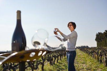 Domaine Des Favards, Vignoble à Violès