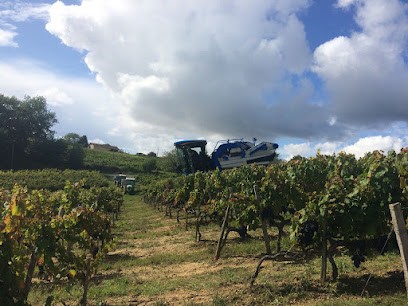 Château Tour Birol, Vignoble à Samonac