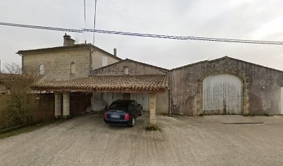 Chateau Saint-Fort De Lisse, Vignoble à Saint-Étienne-de-Lisse