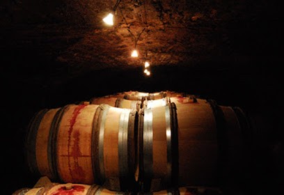 Domaine Larue, Vignoble à Saint-Aubin