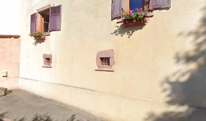 Vins Zink, Vignoble à Pfaffenheim