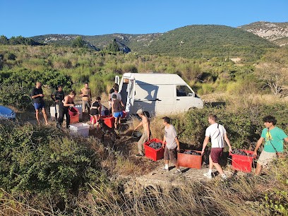 Sébastien Godret, Le Jardin Super, Vignoble à Treilles