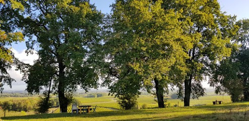 Bégaud Cognac, Vignoble à Villars-les-Bois
