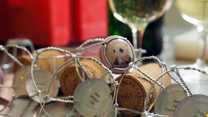 Champagne DAMIEN-BUFFET, Vignoble à Sacy