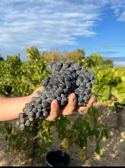 Clos Monrepos Vignoble aux Artigues-de-Lussac