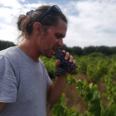 Domaine Pèira Levada Vignoble à Cabrerolles