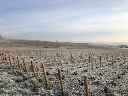 Champagne Serge Lefevre, Vignoble à Saudoy