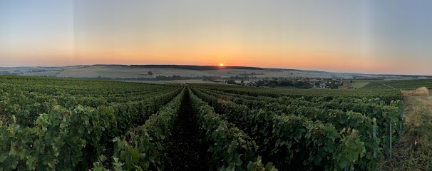 Champagne Sylvie Vaudoir, Vignoble à Torvilliers