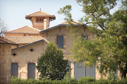 Château Le Virou SC, Vignoble à Saint-Girons-d'Aiguevives