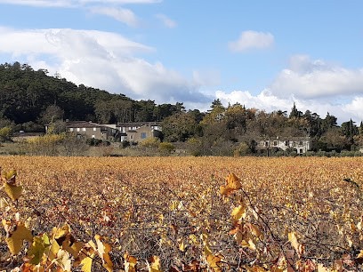 Dom&Terre, Vignoble à Lagrasse