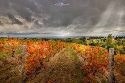 Domaine Lapandery, Vignoble à Saint-Haon-le-Vieux