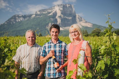 Domaine Adrien Veyron et fils, Vignoble à Apremont
