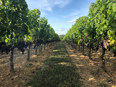 Domaine Le Petit Marand Vignoble à Saint-Bonnet-sur-Gironde