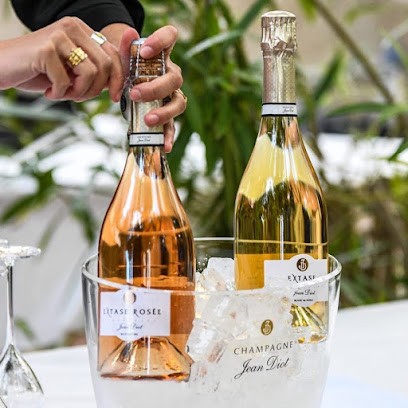 Champagne Jean Diot, Vignoble à Vinay