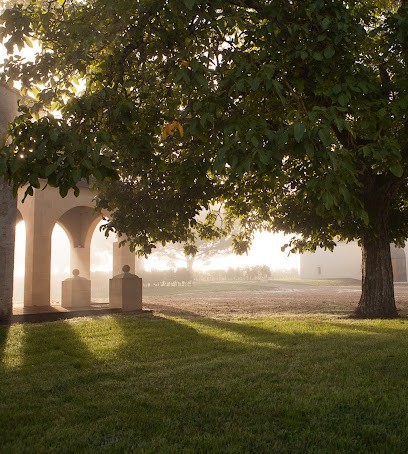 Closerie Saint Roc - Famille Amoreau, Vignoble à Puisseguin