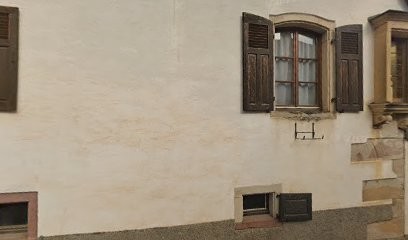 Zimmermann Rémy, Vignoble à Soultzmatt