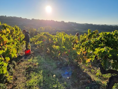 Chateau DEUMIÉ, Vignoble à Ventenac-Cabardès