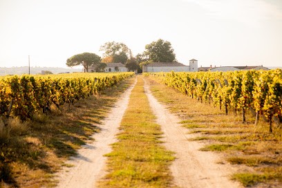 Chateau Lamothe Despujols, Vignoble à Sauternes