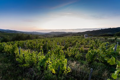 Isabelle Et Bruno Perraud - Domaine Des Côtes De La Molière, Vignoble à Vauxrenard