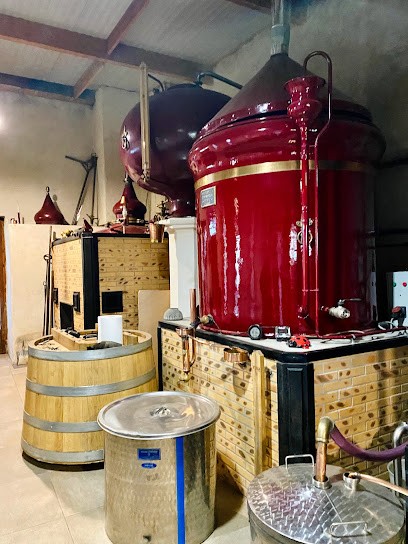 SARL Cognac Dudognon, Vignoble à Angeac-Champagne