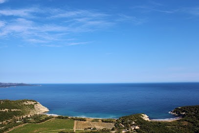 Domaine de Catarelli, Vignoble à Patrimonio