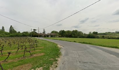 Château Conge-Manet, Vignoble à Saint-Loubès
